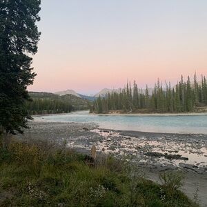 Meet your Posher, Paityn